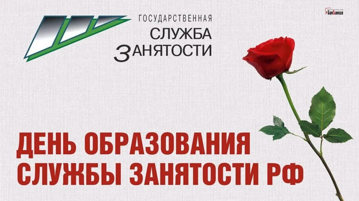 День службы занятости. С днем службы занятости поздравление. С днем службы занятости поздравление. День сотрудника центра занятости. С днем службы занятости открытки.