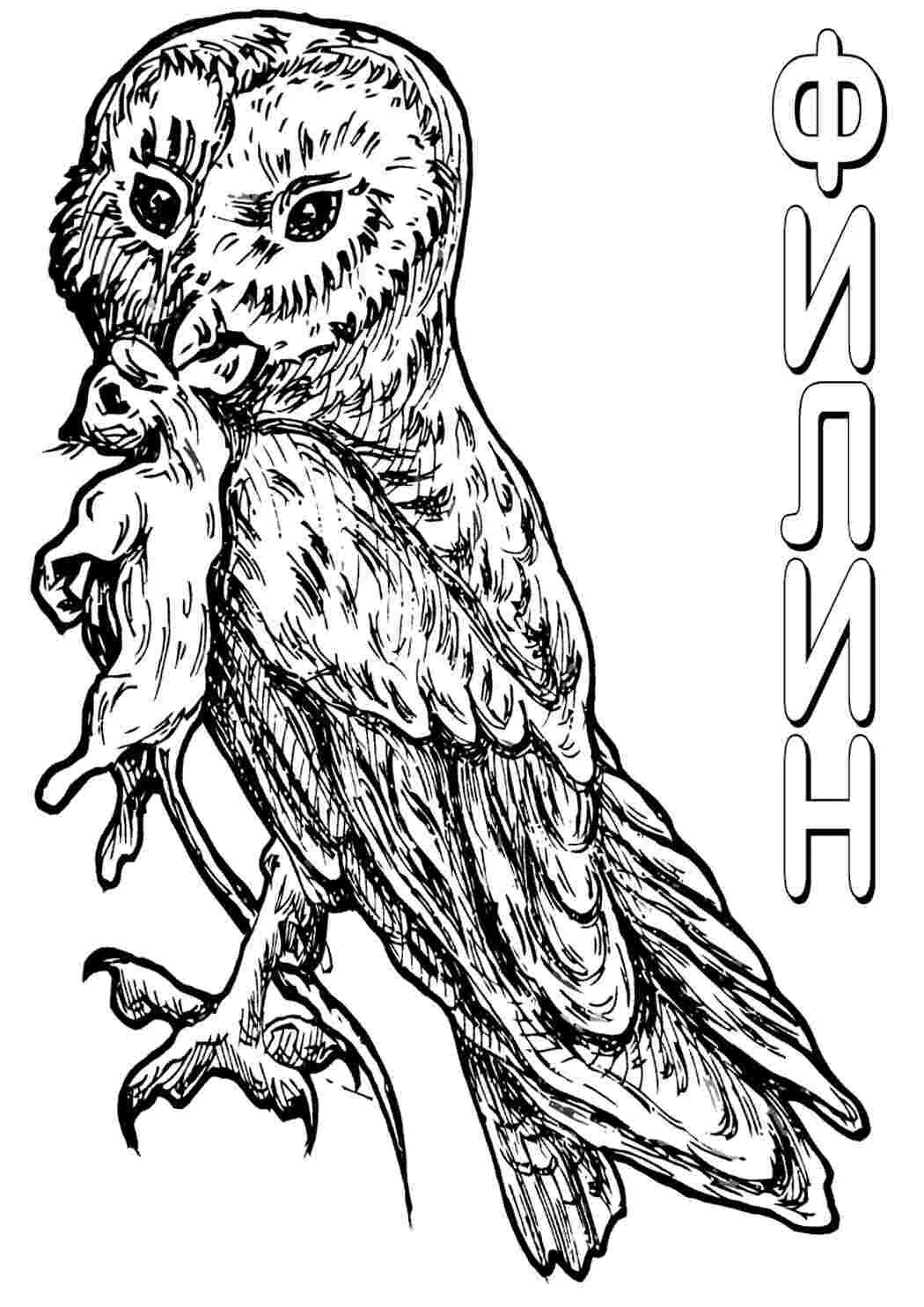 Pin on ambiente e personaggi tenda teatrino Bird coloring pages, Owl coloring pa