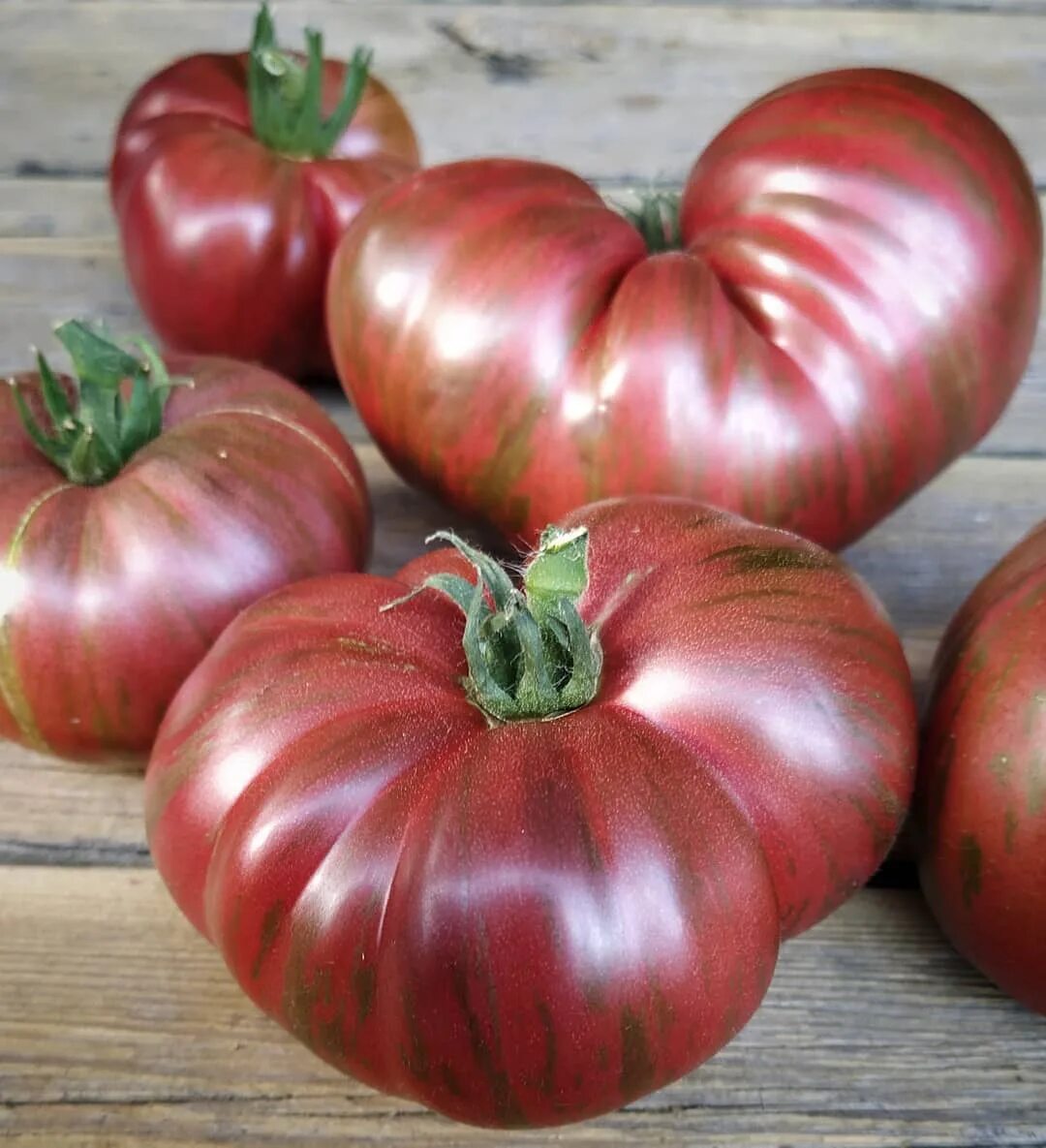 фестиваль аделаиды томат семена. томат гном сладкий. гном фестиваль аделаиды. фестиваль аделаиды томат семена. сорт томата dwarf adelaide festival.