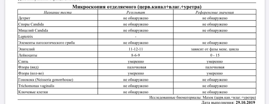 Эпителий какая норма. Эпителий плоский в мазке норма. Эпителий в мазке у женщин норма. Соотношение лейкоцитов к клеткам плоского эпителия. Норма лейкоцитов и эпителий в мазке у женщин.