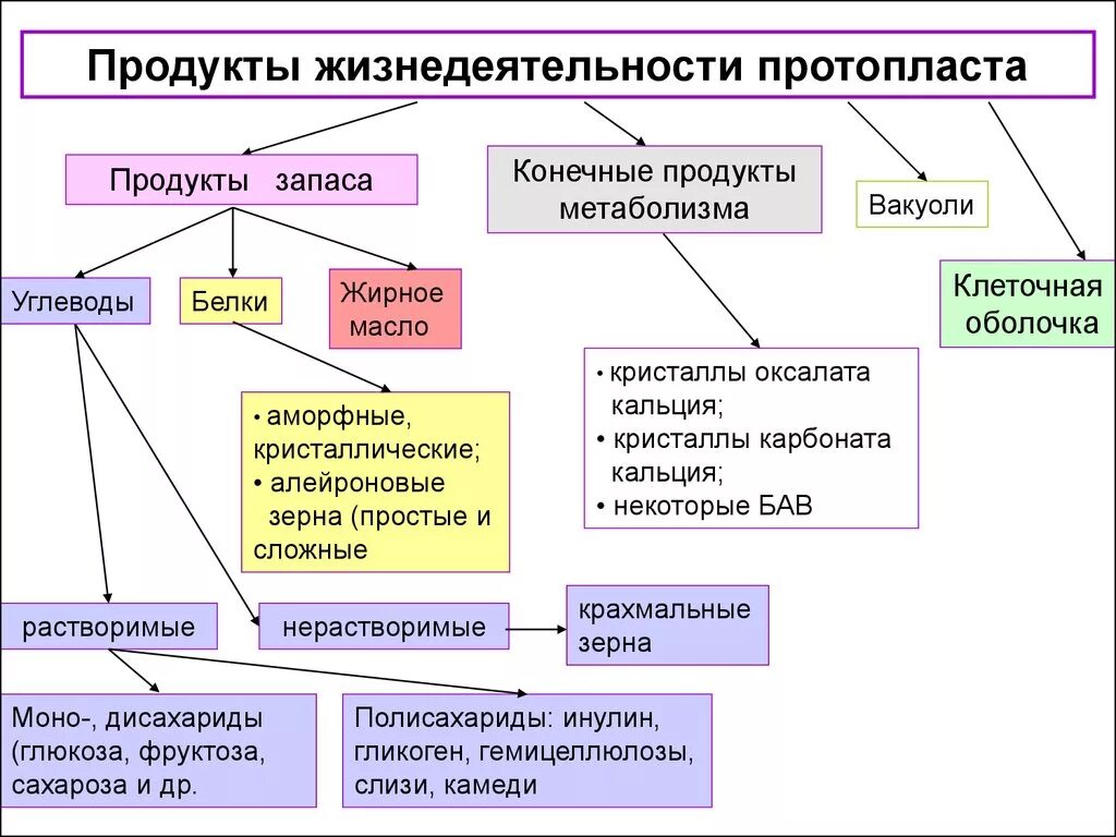 Назовите продукты жизнедеятельности