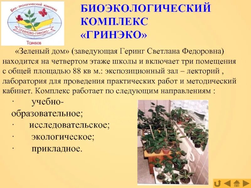 Правила поиска и анализа биоэкологической информации