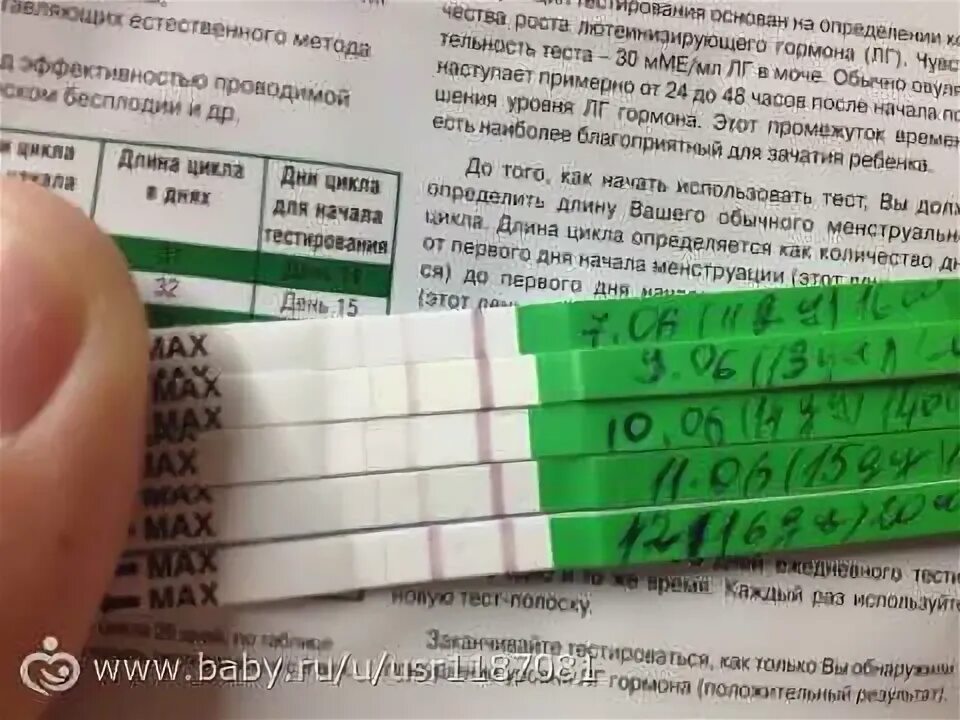 Овуляция и беременность когда покажет