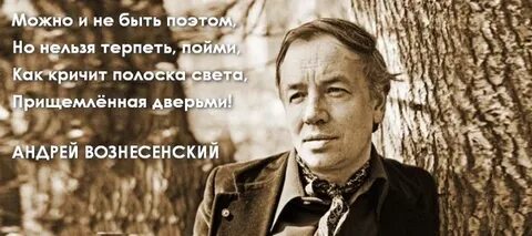 Просто поэт