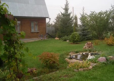 Раздолье 2