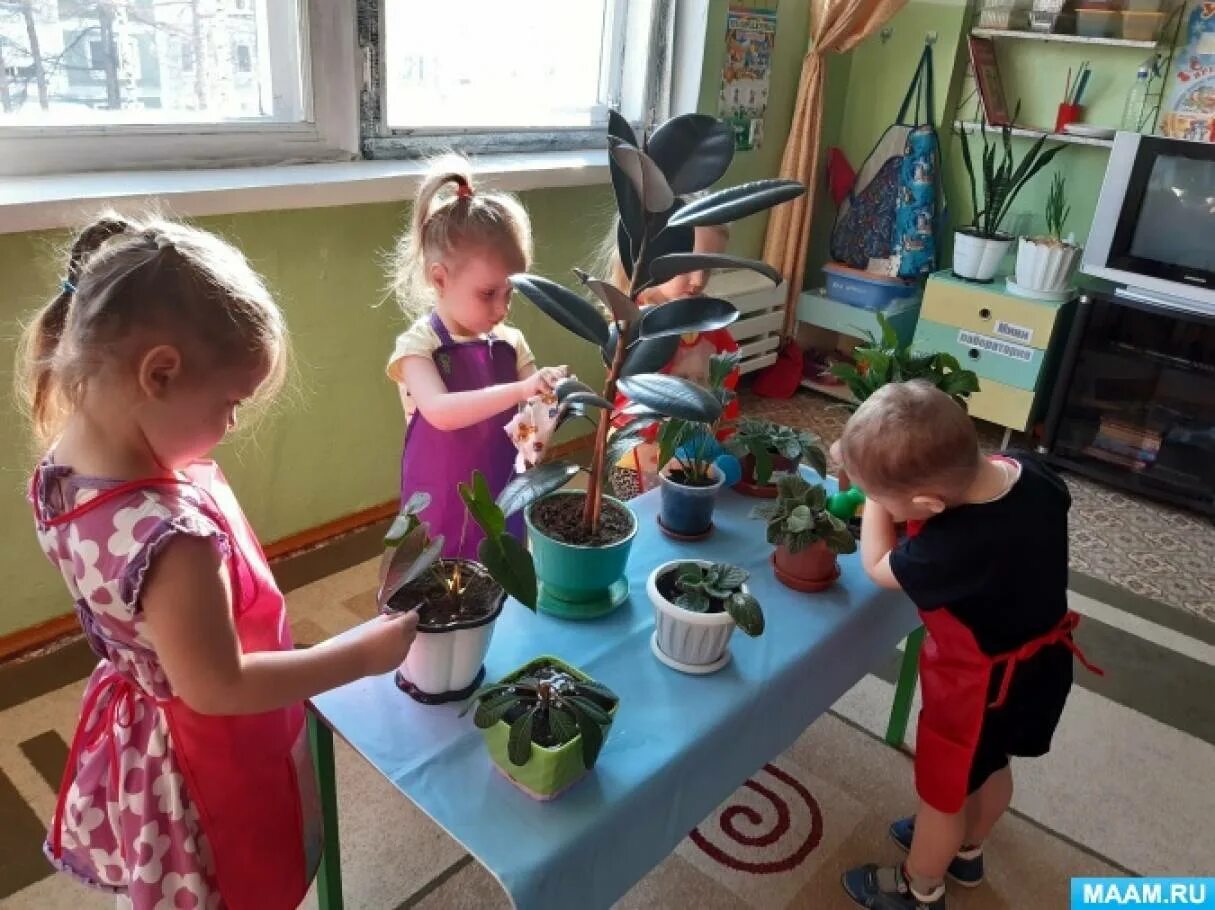 Труд детей в детском саду. Труд в уголке природы. Труд детей в природе в детском саду. Трудовая деятельность в садике. Трудовые поручения в младшей группе