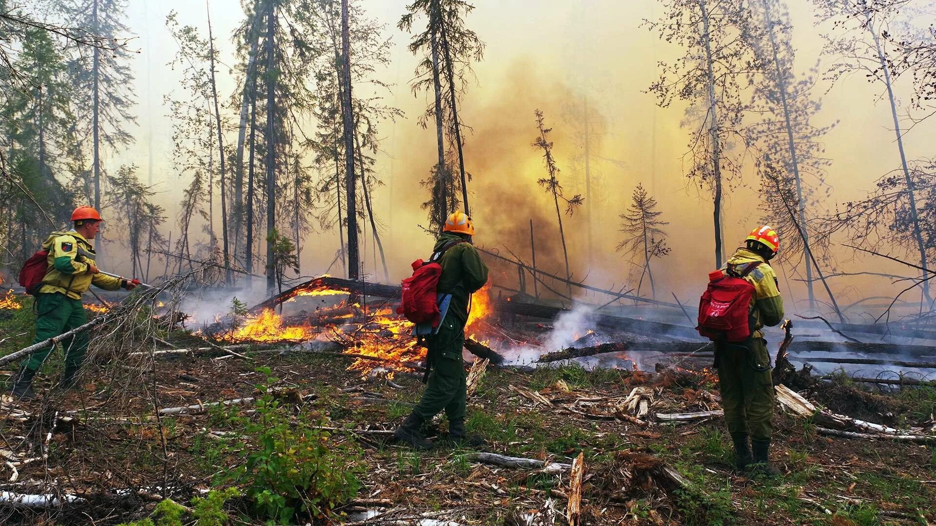 Лесные пожары в Якутии 2021. Лесные пожары в России (2021)Карелия. Лесные пожары в России 2021 Якутия. Лесные пожары в Рязанской области 2022. Пожар на территории рф