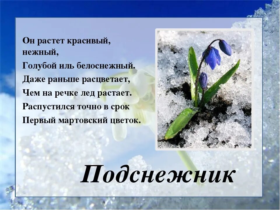 Загадки про весну. Загадки на весеннюю тему. Загадки про весну для детей.