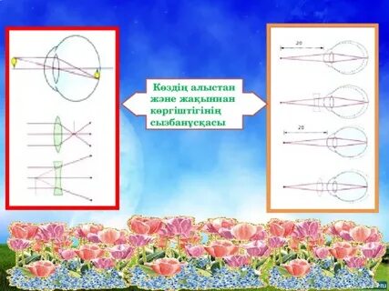 Арнольд Шварцнеггердің порно фильмдері