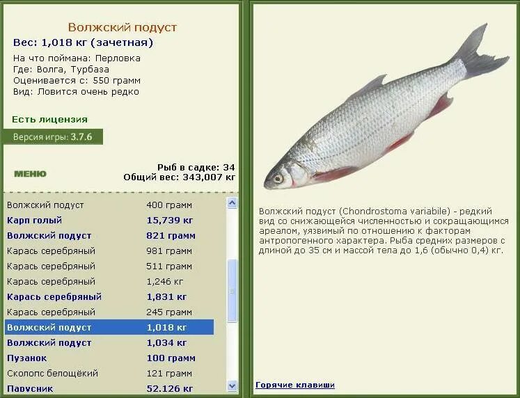 игра реальная рыбалка подуст