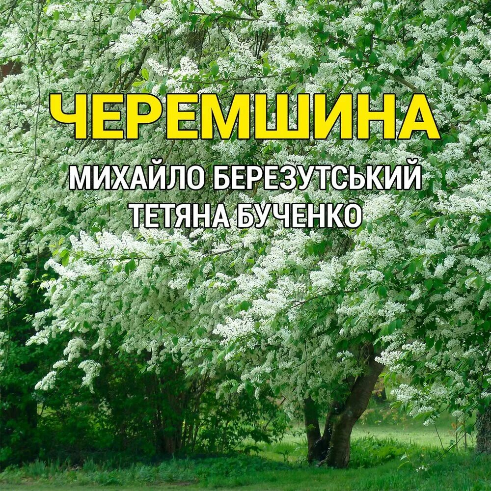 Песни черемшина на русский язык. Черемшина. тетяна бученко. михайло березутський. черемшина украинская.