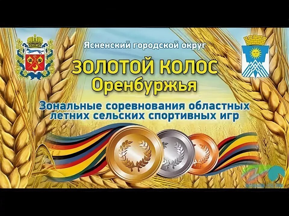 Золотой колос оренбуржья. Золотой Колос Оренбуржья 2018. «Золотой Колос Оренбуржья» подъем флага. Золотой Колос эмблема.