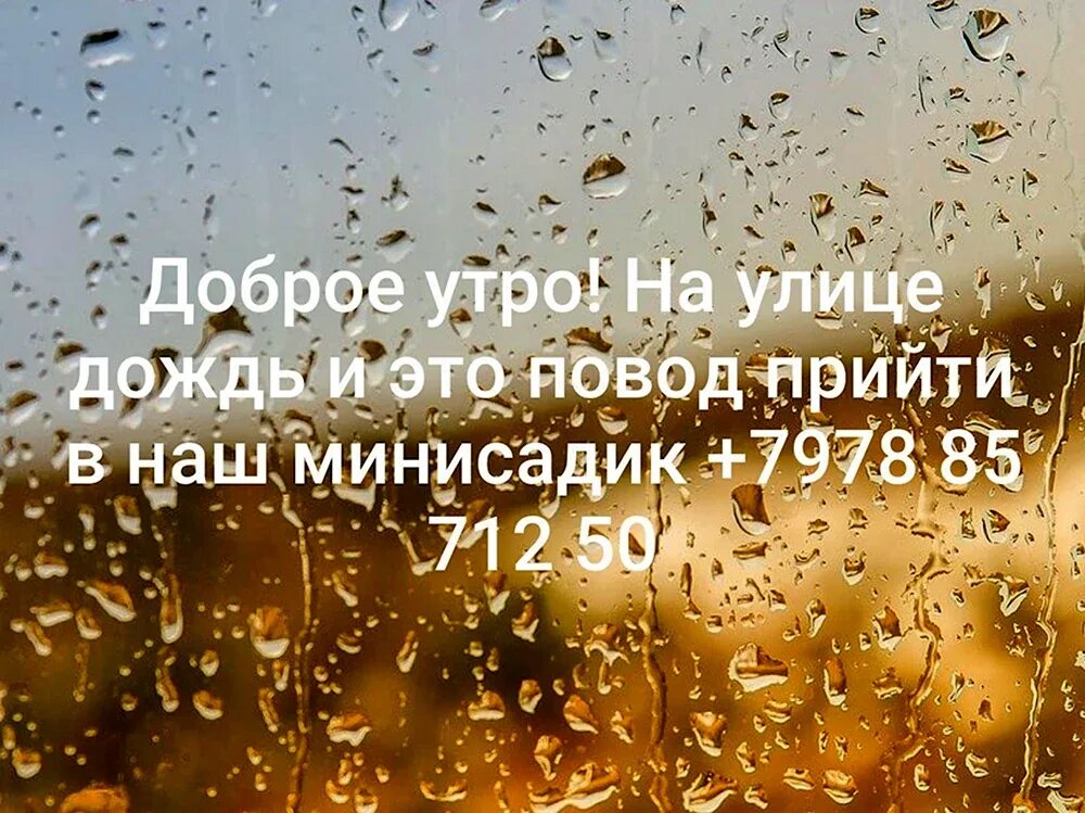 Доброе утро несмотря на дождь. Доброе утро в пасмурный день. доброе дождливое утро. доброе утро в дождливую погоду. доброе дождливое утро хорошего дня.