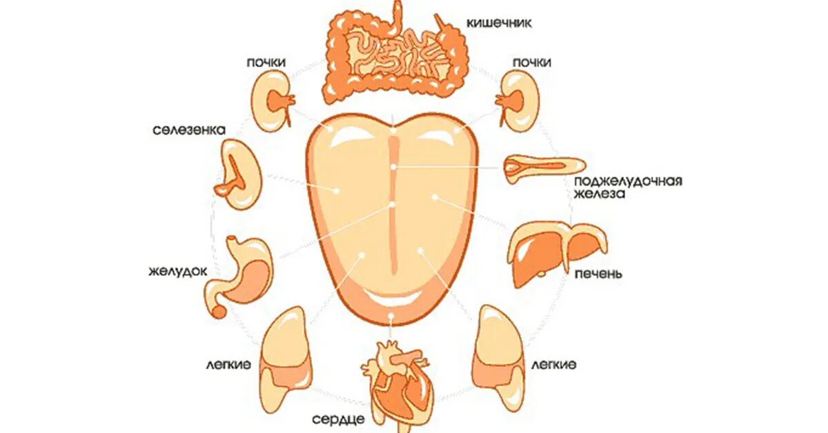 что означает желтый язык у человека