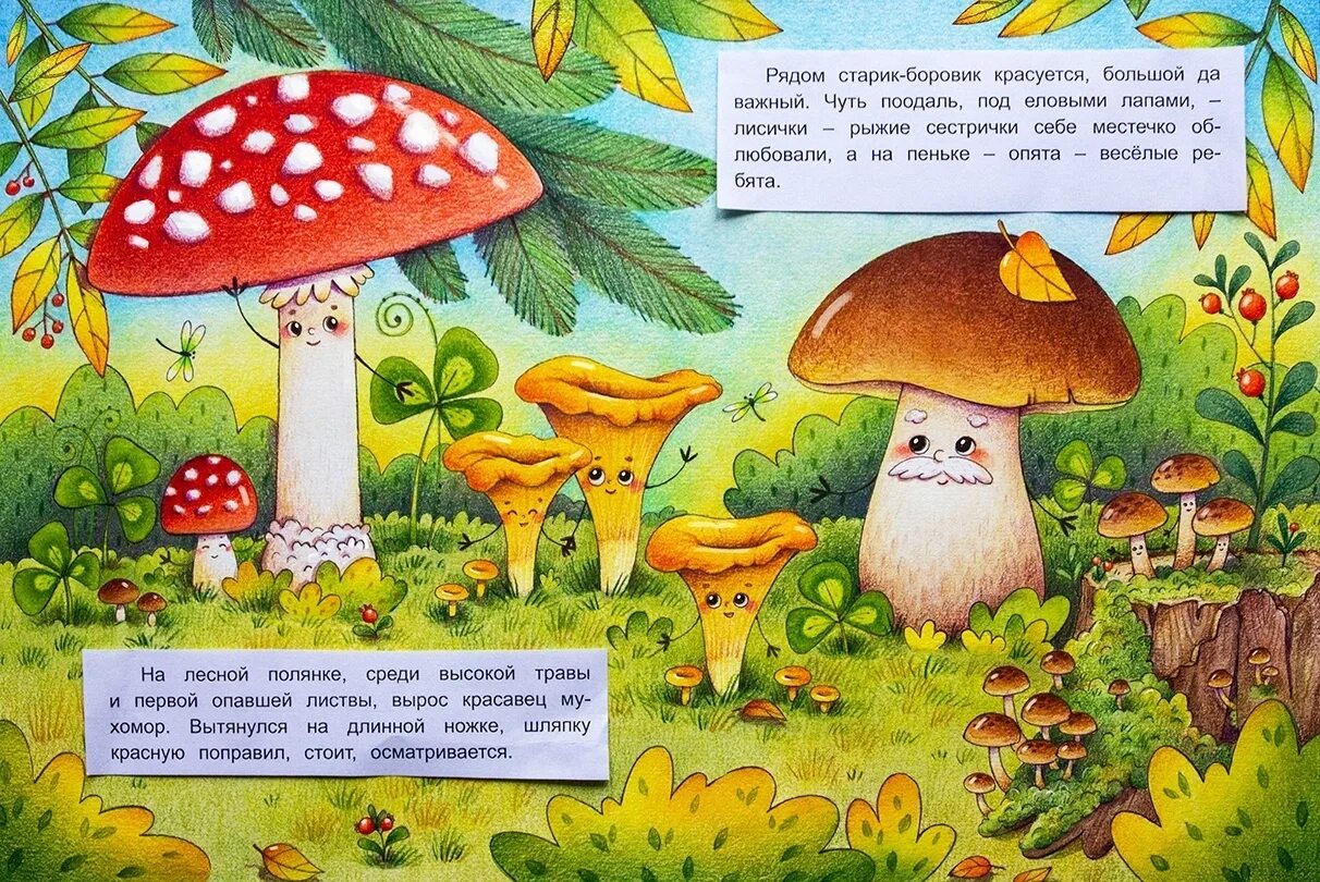 Сказка про грибы для детей. Книги про грибы для детей. Сказки про грибы для малышей. Книги про мухоморы полезные. Стихотворение ох грибок ты мой грибочек