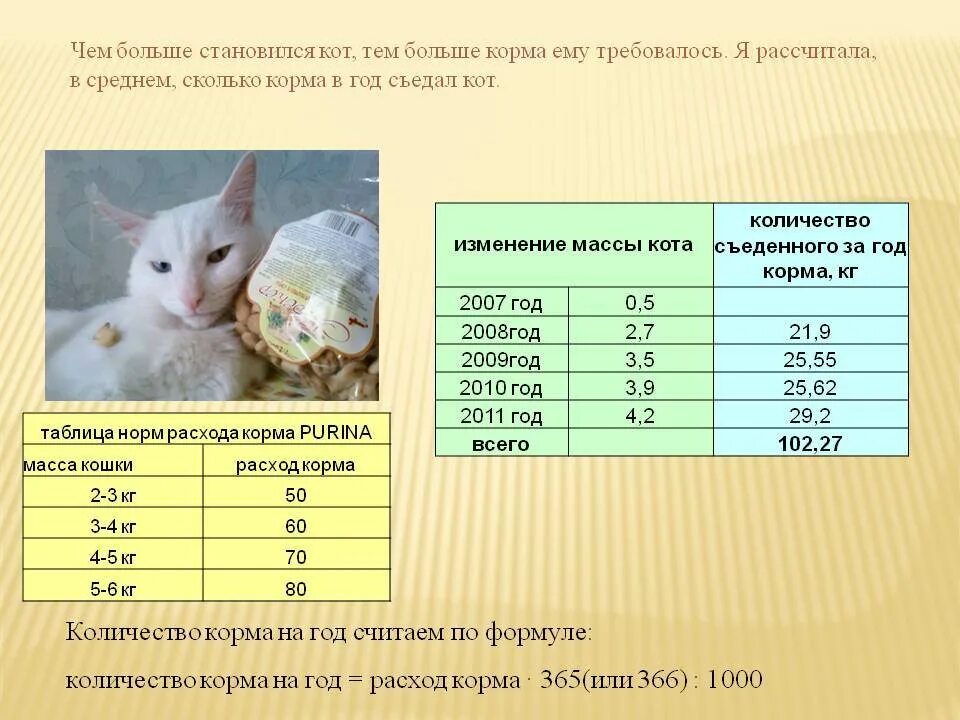 Норма кормления котов сухим кормом. Норма корма для котенка. Нормы кормления котят. Сколько корма давать коту в сутки.