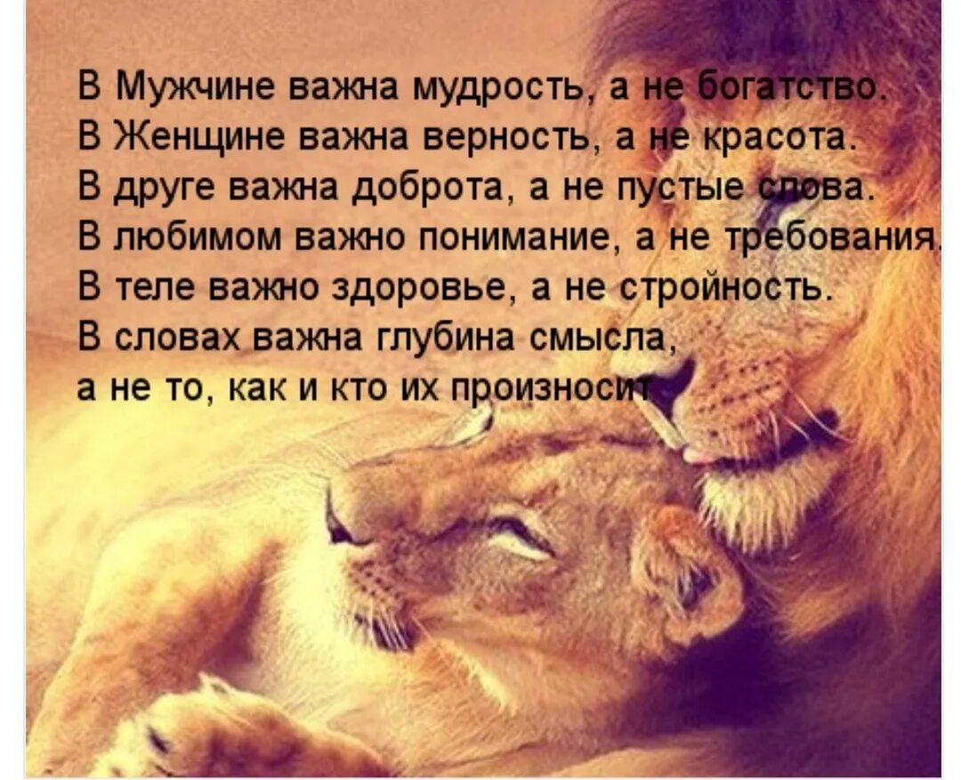 Мудрые высказывания о жизни и любви. Мудрые слова про любовь. мудрые слова о жизни и любви. красивые мудрые слова. мудрые мысли о жизни и любви.