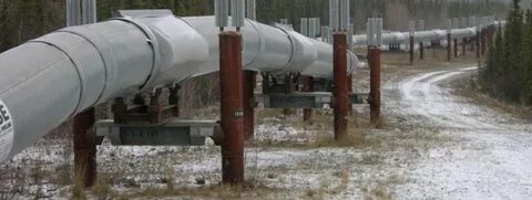 Сливовый облегченный закупорив красивее нефтепровод