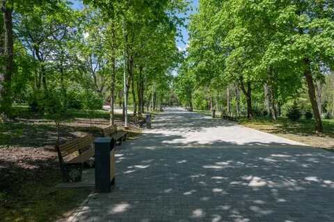 Парок ростов