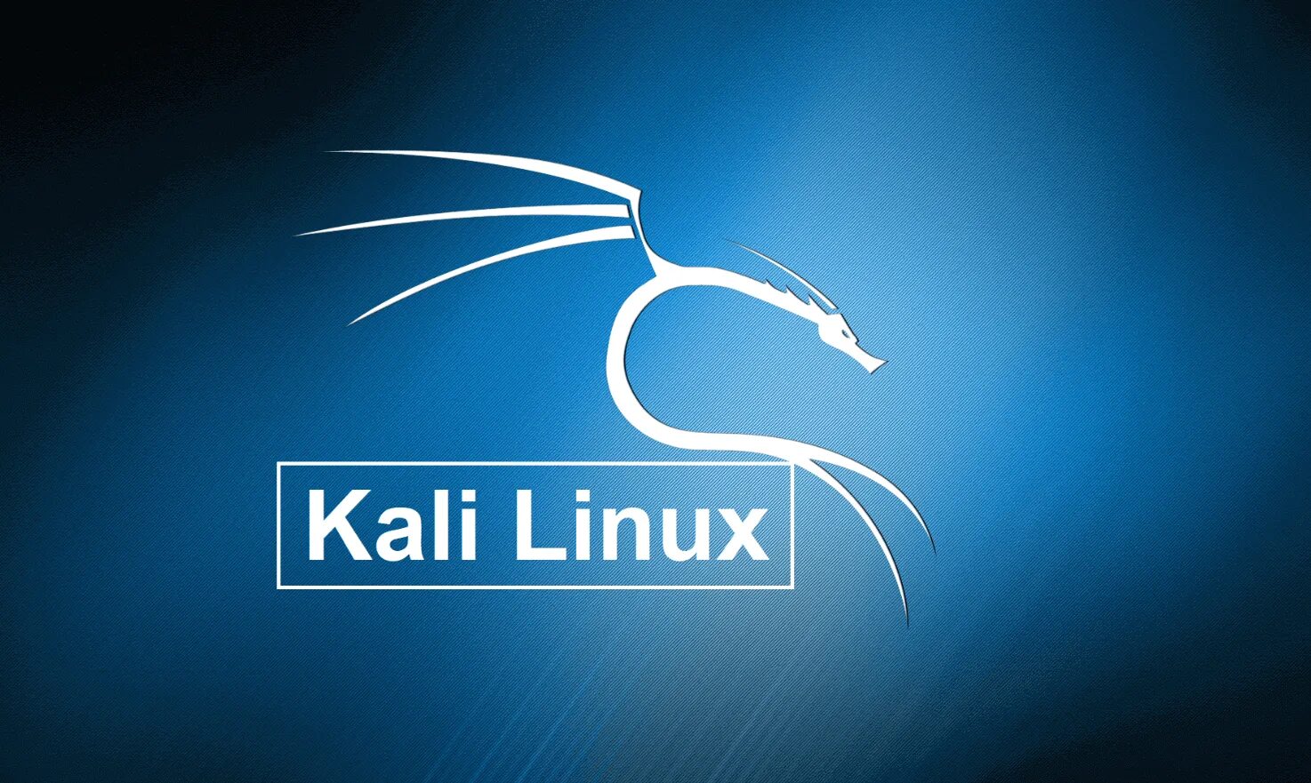 Kali linux настройка. Kali Операционная система. Кали линукс ОС. Кали линукс в виртуал бокс. Kali Linux операционные системы.