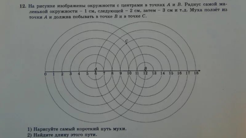 Найдите длину пути вокруг дуба. На рисунке изображены окружности. Окружность с центром в точке о. На рисунке изображены окружности с центрами в точках. Нарисуйте самый короткий путь мухи.