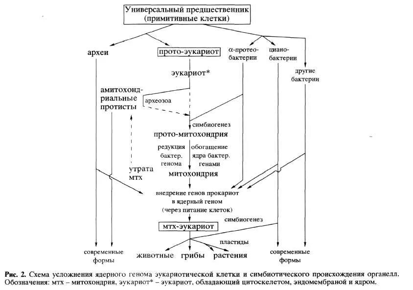 Гипотезы возникновение жизни на Земле (Страницы 103,104,105,106)