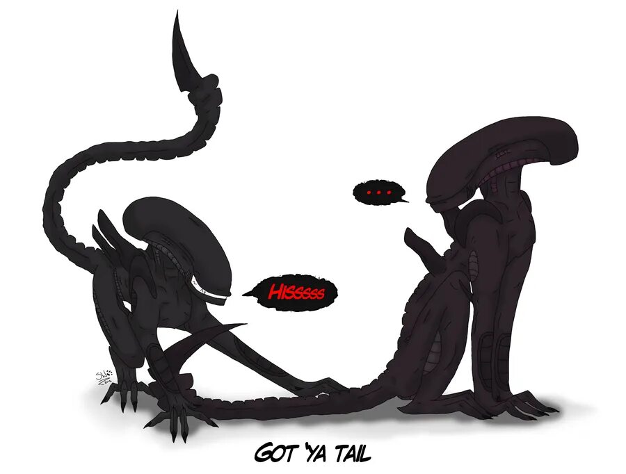 Чужой целует девушку. Чужой ксеноморф и хищник любовь. Хищник против инопланетян. Хищник девушка. Чужой ксеноморф и хищник любовь.