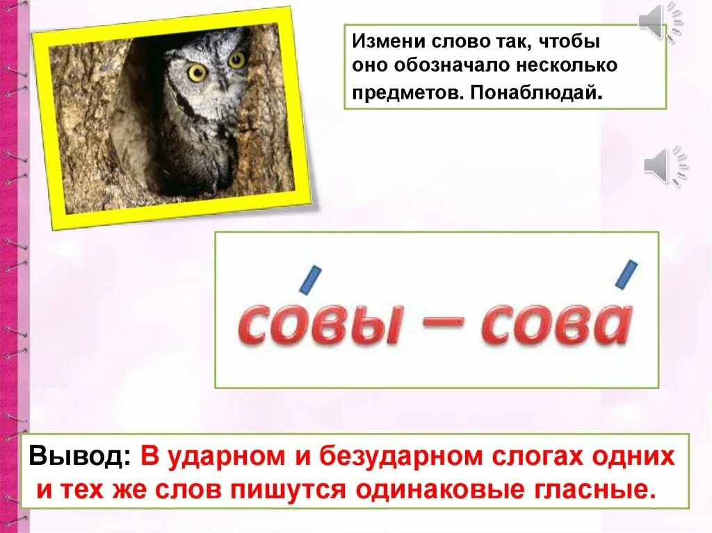 Изменить слово Сова так чтобы оно обозначало несколько предметов. Предложение со словом Сова. Слова обозначающие несколько предметов. Предложение со словом Сова 1 класс. Слово сова безударная гласная