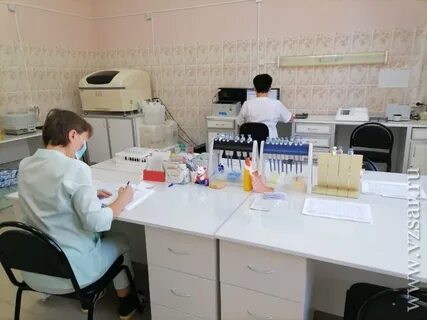 Гуз пугачевская рб