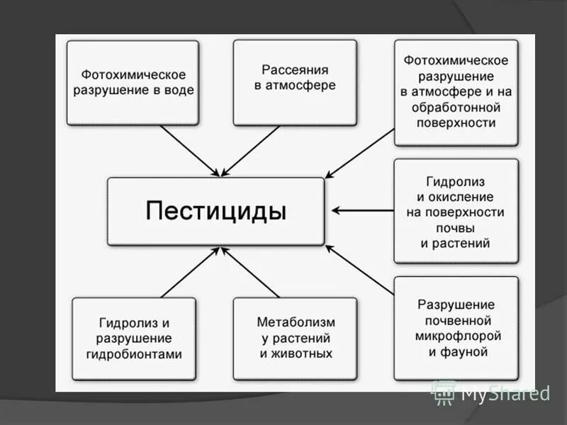 Пестициды влияние на человека. Воздействие пестицидов на окружающую среду схема. Классификация пестицидов схема. Влияние пестицидов на окружающую среду. Схема влияние пестицидов на человека.