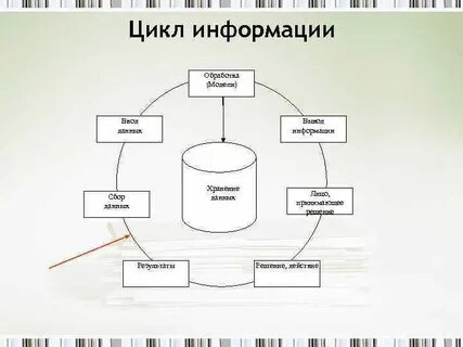 Жизненный цикл информации