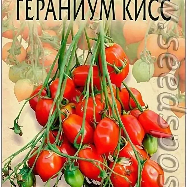 Семена томат Гераниум Кисс. Томат поцелуй герани Geranium Kiss. Томат поцелуй герани семена. Поцелуй герани семена томатов Биотехника.