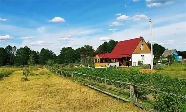 3 интернационала 19 брянск. Участок 14 брянск. Домашнее фото на дaче. Участок 14 брянск. 3 интернационала 19 брянск.