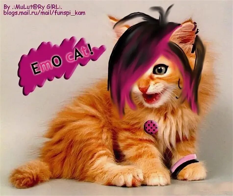 Милая кошка эмо. No one understands emo cat. Эмо кот мем. Эмо кошка игра. Эмо кошка игра.