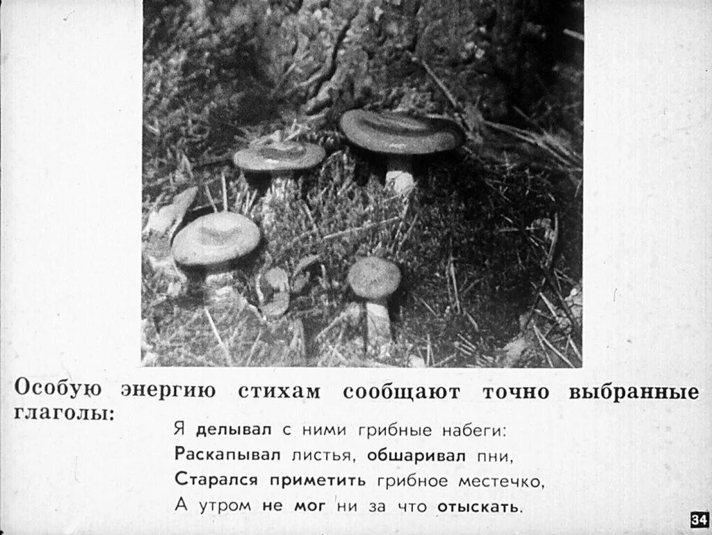 Что значит грибные набеги. Что значит грибные набеги