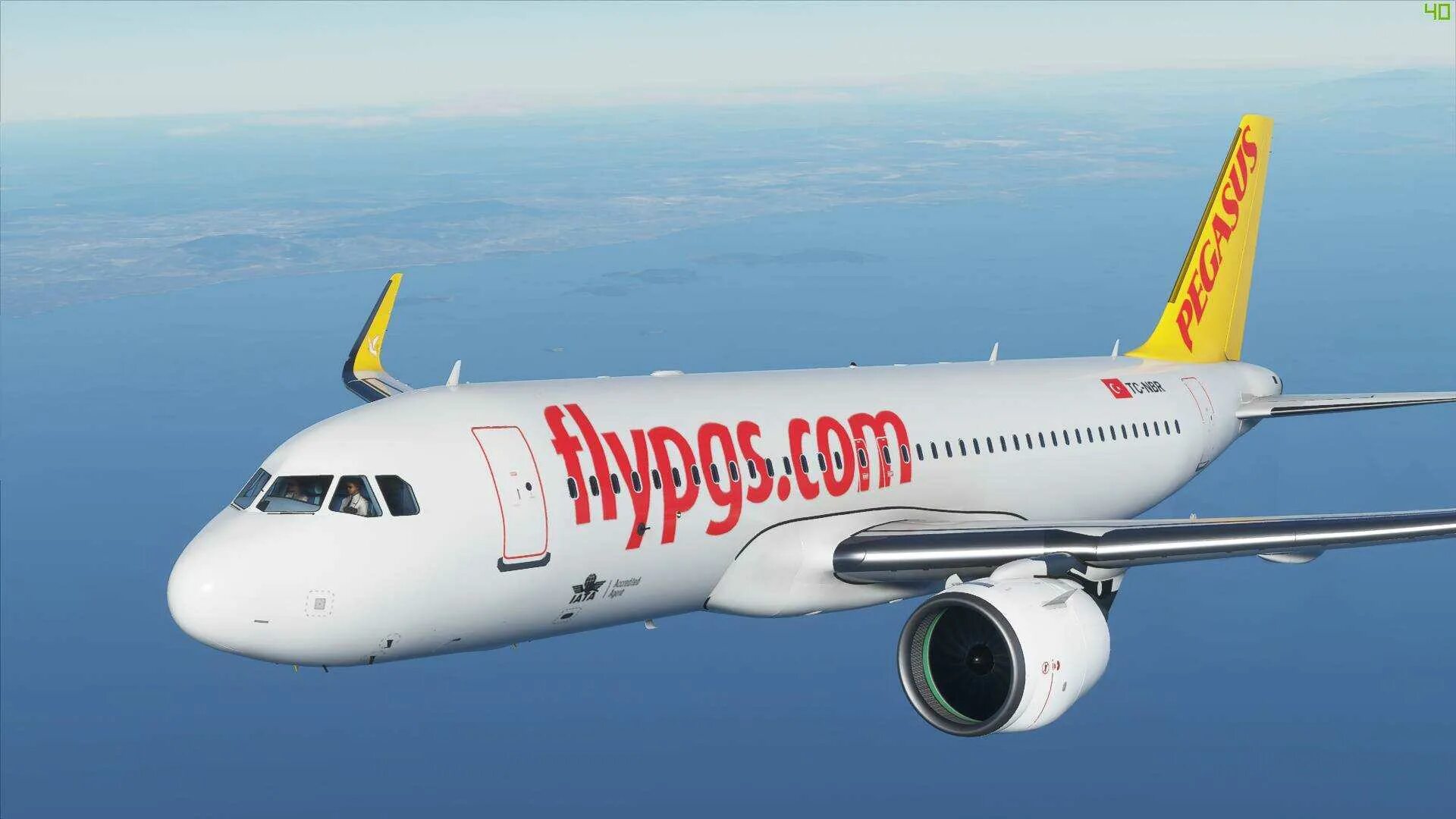 Pegasus Airlines Airbus-320. Аэробус а320 Pegasus Airlines. Пегасус Аирлинес авиакомпания. Airbus a320neo Pegasus Airlines. Pegasus авиакомпания сайт