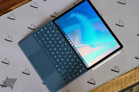 Chrome os flex