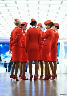 Стюардессы без работы