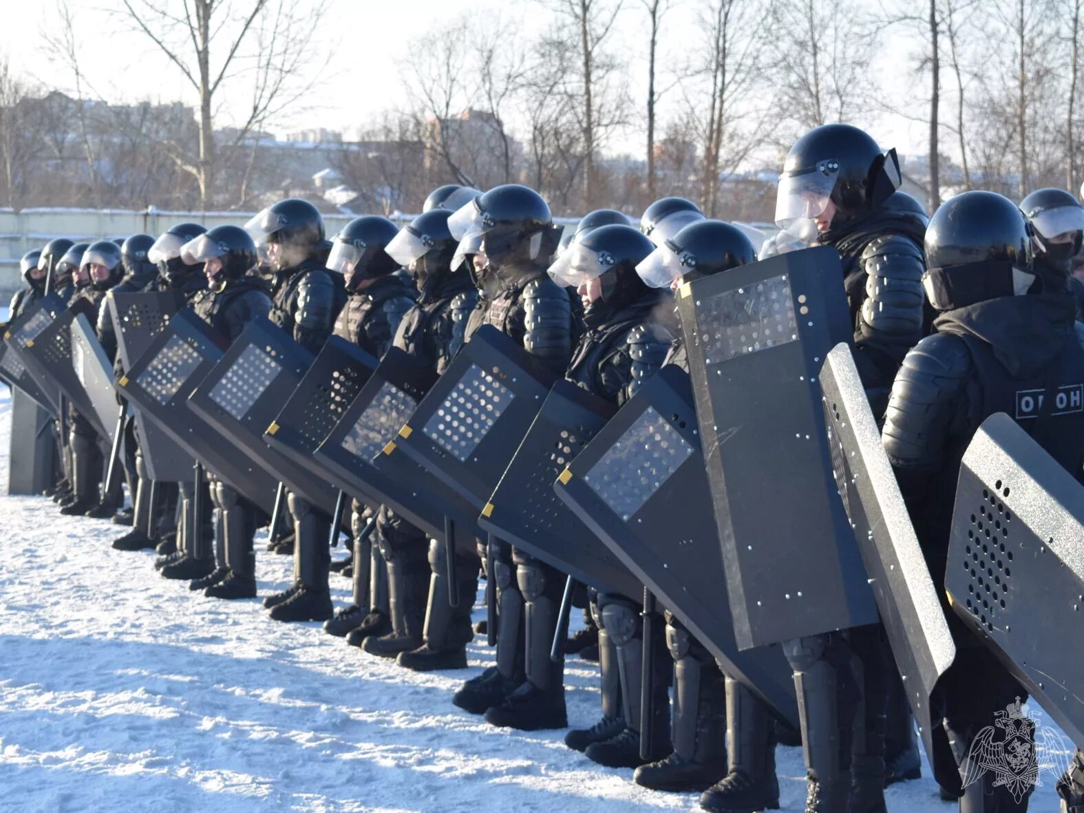 Национальная гвардия с щитами. Национальная гвардия Украины с щитом. Росгвардия с щитами митинг. Нацгвардия Москва.