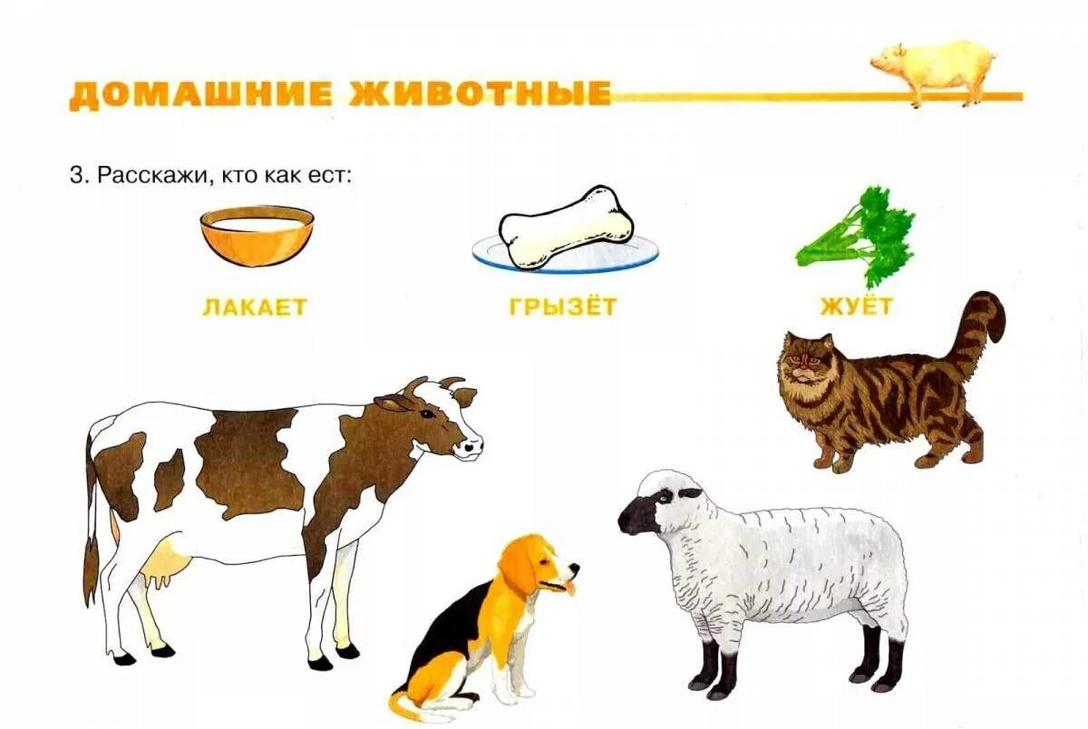 Конспект средней группы домашние животные. Развивающие задания 1 младшая группа тема домашние животные. Задания для детей с домашними животными. Дошкольникам о домашних животных. Изображения домашних животных для детей.