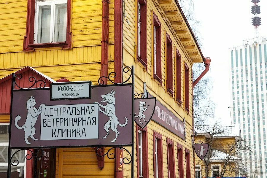 Ветклиники архангельска адреса. Ветеринарная клиника ачинск надежда. Барк ветклиника архангельск. Ветеринарная клиника в архангельске. Государственная ветклиника архангельск.
