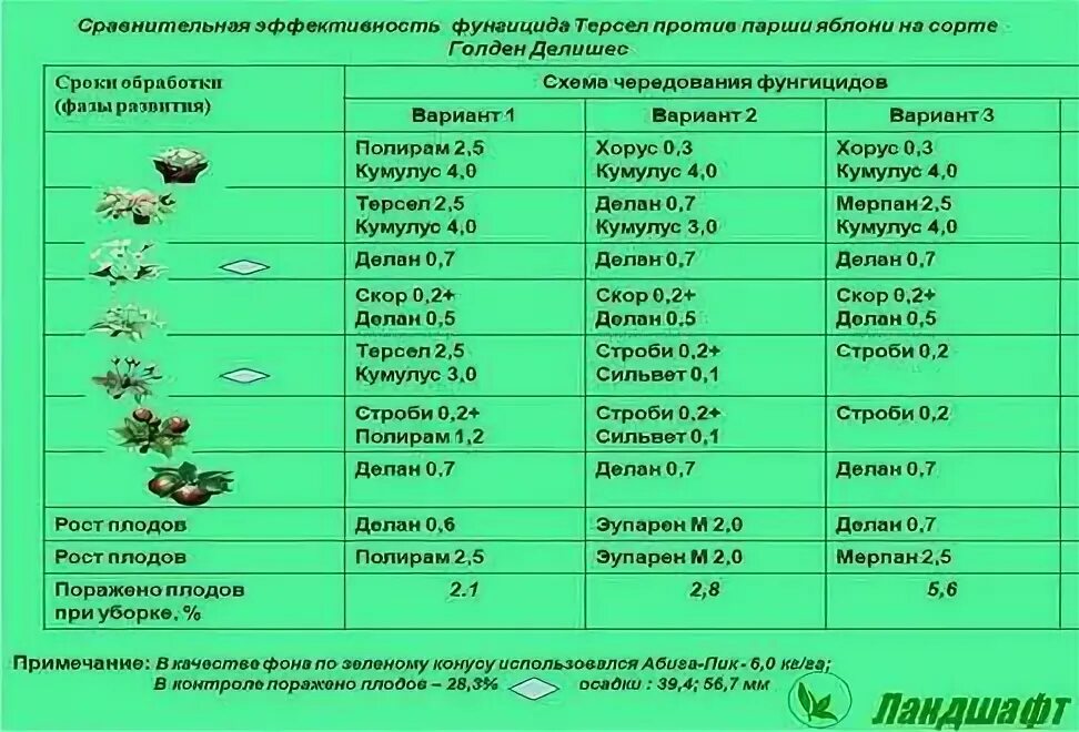 От болезни винограда весной. Схема обработки и подкормки винограда. Схема обработок яблони от вредителей. Средства от вредителей сада для плодовых деревьев. Таблица обработки винограда.