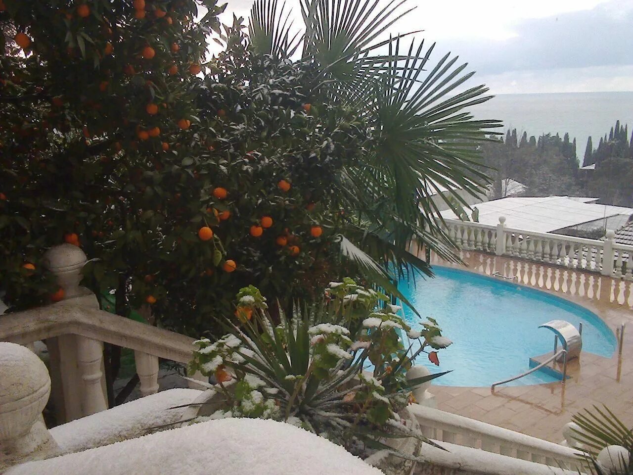 гагры абхазия зима. гагры абхазия зимой. абхазия сухум зимой. новый афон абхазия зимой. гагра отели зимой.