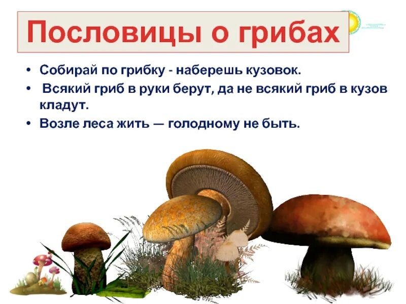 Собери слова грибы. Хитрые грибы. Берестов грибы. Презентация грибы для дошкольников. Цитаты про грибы.