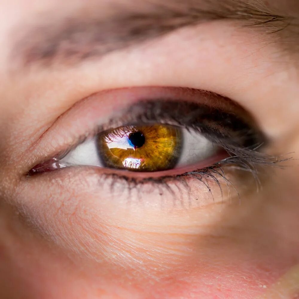 Хазел цвет глаз. Глаза. Глаз человека. Янтарный цвет глаз. Желто зеленые глаза у человека.