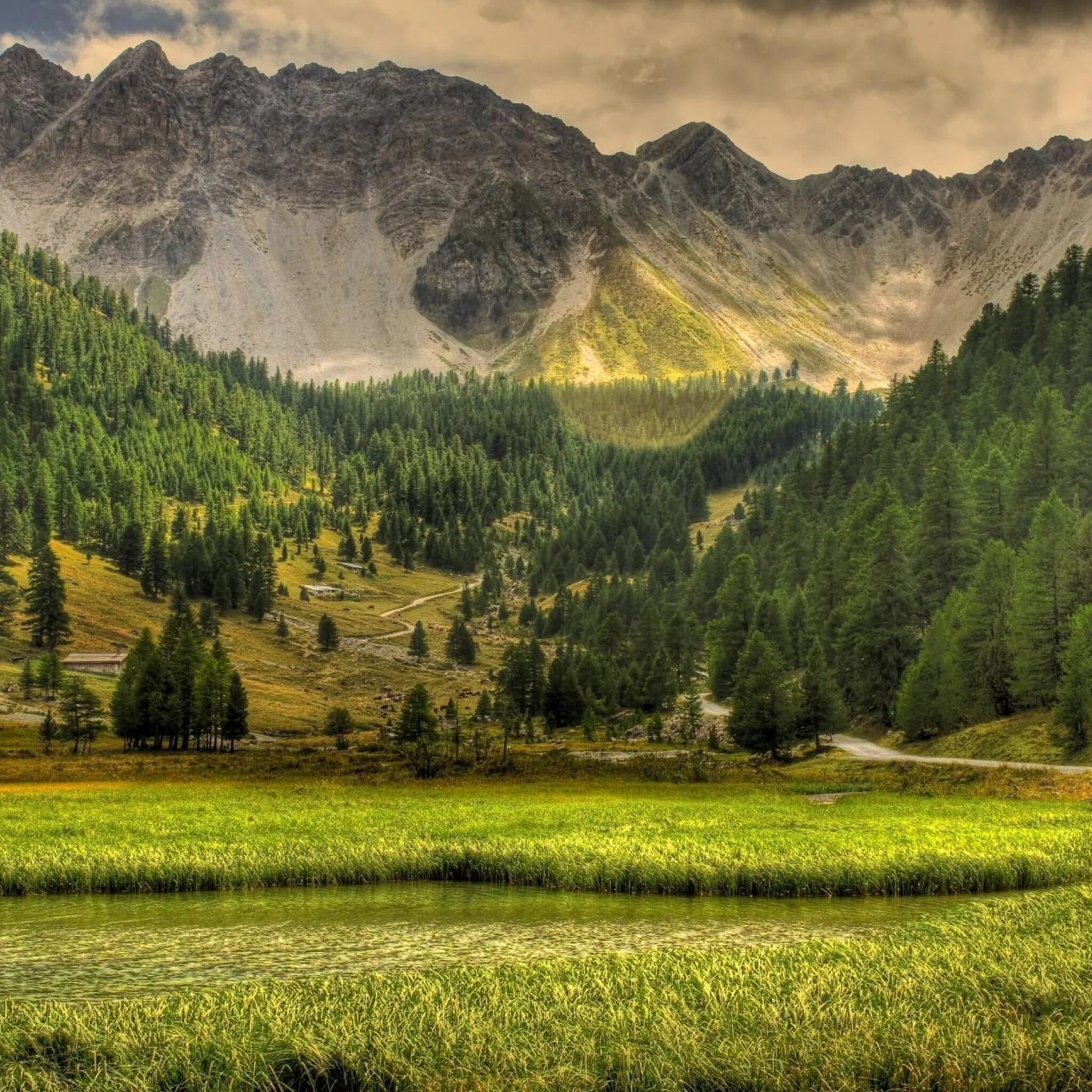 Грин Маунтин гора. Долина в Альпах. Лес горы. Природа. Un natural