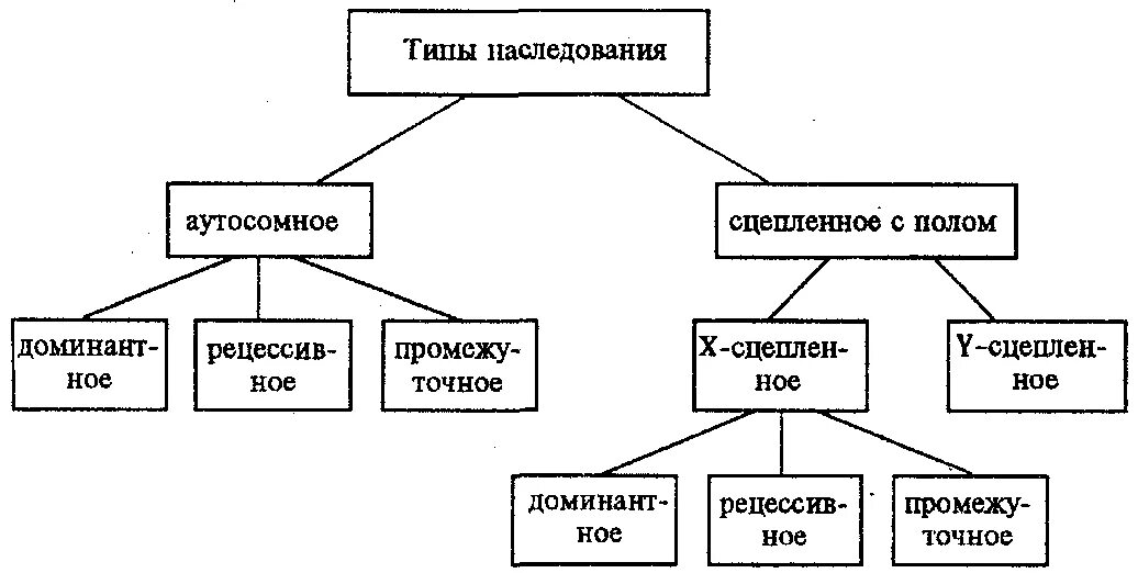 Классификация основных типов наследования признаков.. Типы наследования признаков». Наследование. Характер и Тип наследования признаков. Виды наследственности человека схема. Наследственные признаки биология