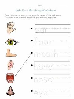 Parts of the body exercises