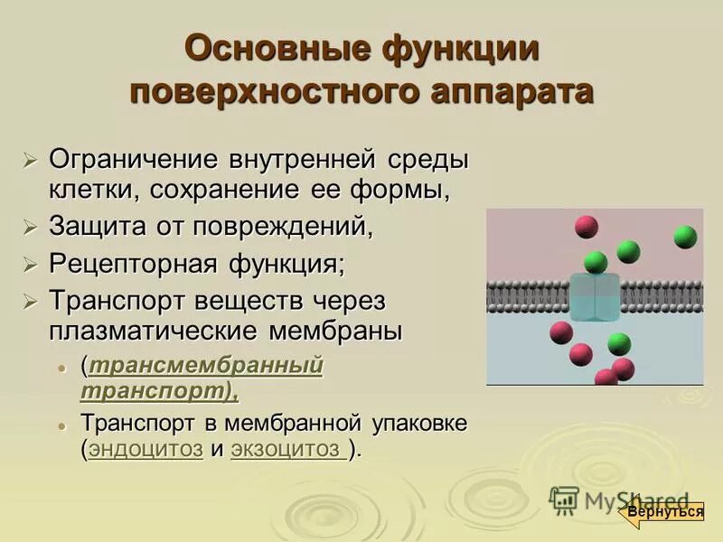 Основных функций аппарата. Виды работ функции управления. Функции аппарата движения. Аппарат правительства рф основные функции. Основных функций аппарата.