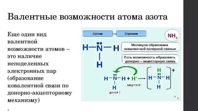 Валентные возможности атома азота. Валентные возможности азота. Валентность и валентные возможности. Валентность и валентные возможности атомов. Валентность азота в летучем водородном соединении